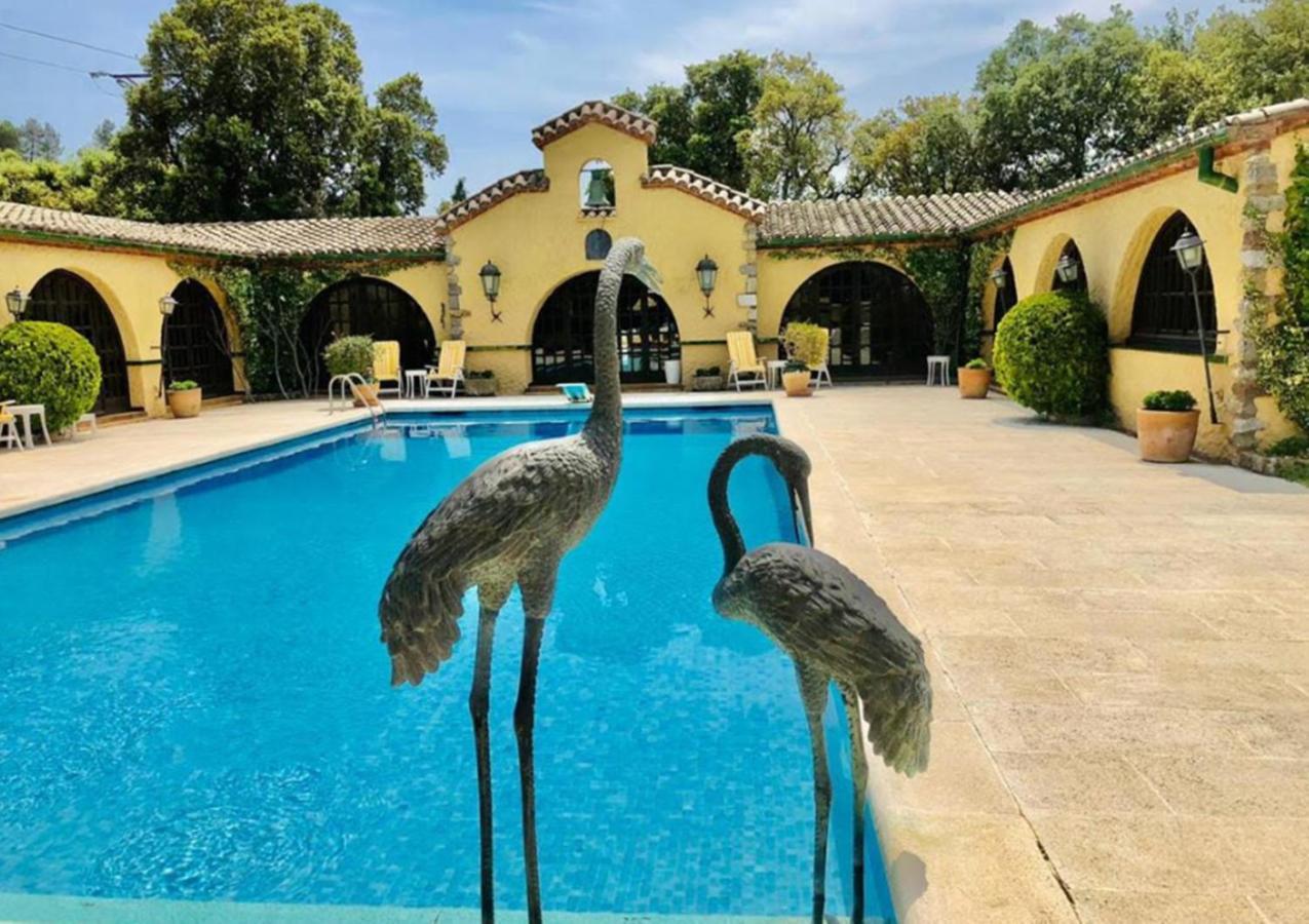 Masia Mimosa Darnius Bagian luar foto