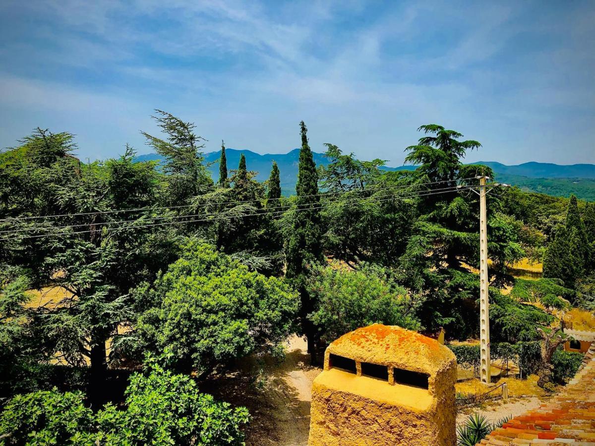 Masia Mimosa Darnius Bagian luar foto